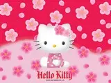 hello小花