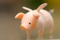 细 i