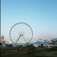 D_i_N