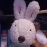 fatrabbit