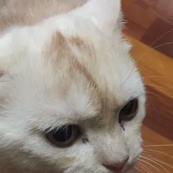 朗朗～＊