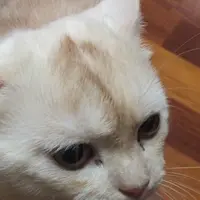 朗朗～＊
