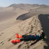 力嘉