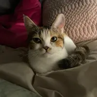 emilyemilyemily