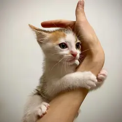 Cathycc3