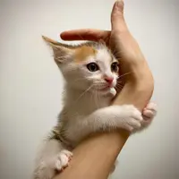 Cathycc3