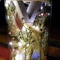 sleepymice