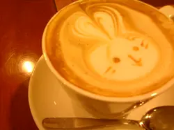 mackiu