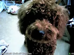 天色