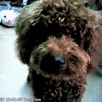 天色
