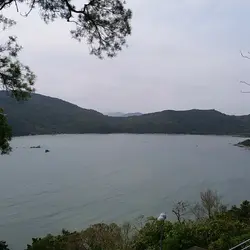 honkiu24