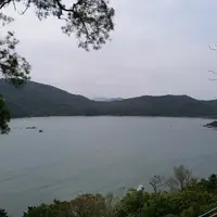 honkiu24
