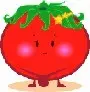 Tomato蕃茄