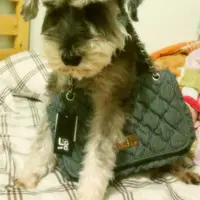 張小敏..*
