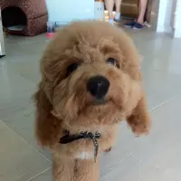L0K