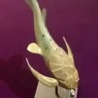 ngarng