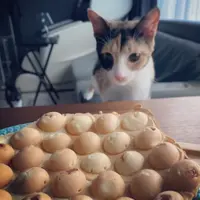 蘇怡Zoe