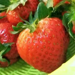 艾麗斯