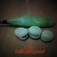 Dog Gor