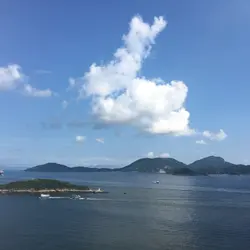 fung0813