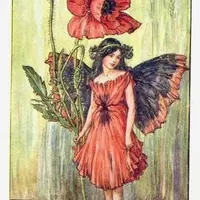 lebotaniste