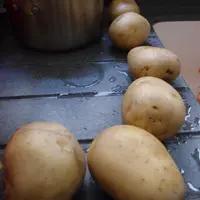 vliery