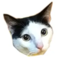 小4