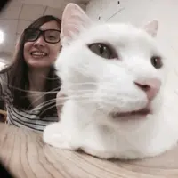 BIG_C