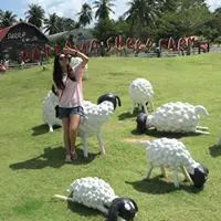 qfishmei