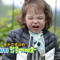 TheTingTing
