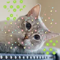 pat_pat0919