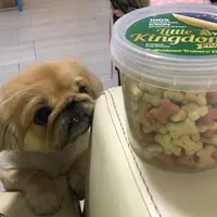 小羊老師