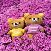 gigikuma