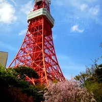 宝宝与鳖鳖