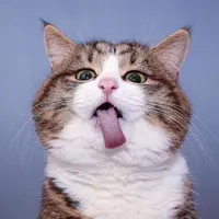 Jobie Sing