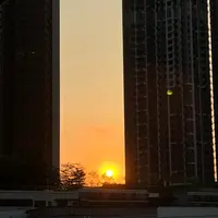 檸檬_米奇