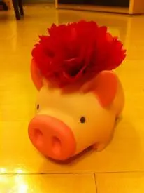 伙頭仔小豬布