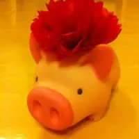 伙頭仔小豬布