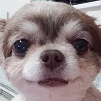 longwin