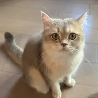 Natalie:)