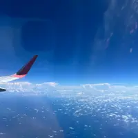 大胃小食家