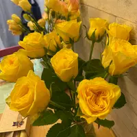 yummycheer