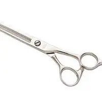 salon仔