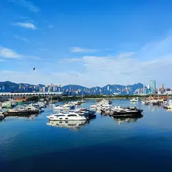 竹子兒