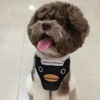 bellacheng