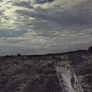 Alanyiu