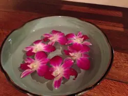 蝦豬