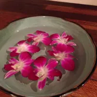 蝦豬