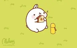 Gluttony_rabbit