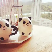 大小姐--日嘗事